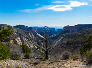 Left Fork from the West Rim Trail