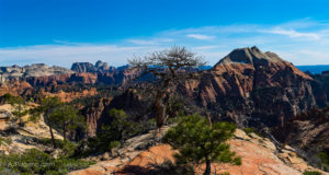 Northgate Peaks Trail Overlook