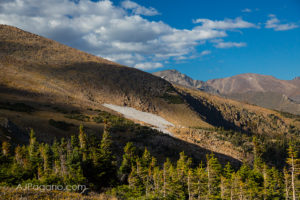 Snowfield Vista in Rocky Mountain National Park