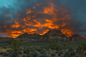 Red Rock Canyon Large Photo Print near Las Vegas