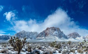 Iced Out Giants Red Rock Las Vegas art