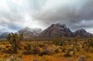 Red Rock Giants Cold fire Mt Wilson