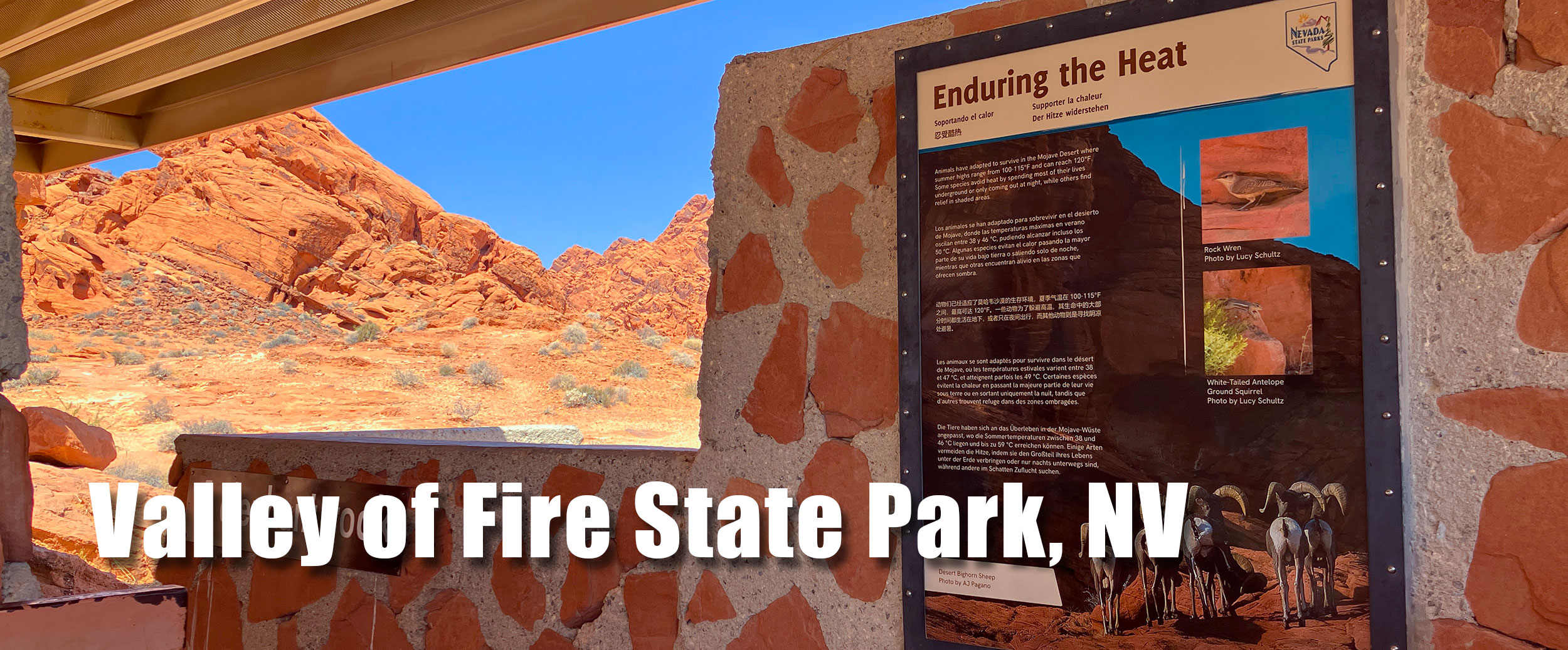 Valley of Fire State Park photography artwork